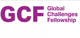 Germany: Global Challenges Fellowship Program in 2015