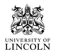 2015 Academic excellence scholarship at University of Lincoln in UK