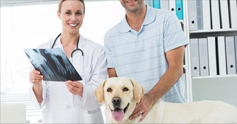 Veterinary Student Scholarships.