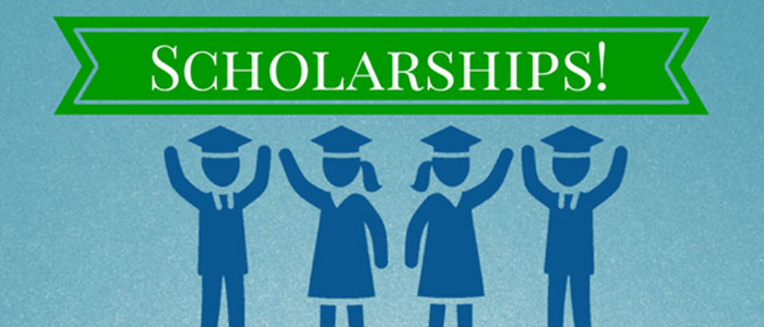Government Scholarships.