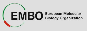 EMBO Short-Term Fellowships for Research Programme