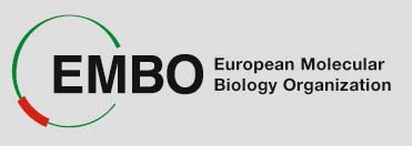  EMBO Short-Term Fellowships for Research Programme 