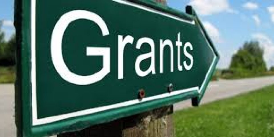 NEF Research Grant Programme for Asia-Pacific Region
