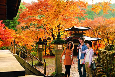 Kyoto University Japan, Postdoctoral Fellowship 2016