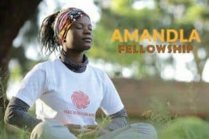  AMANDLA Fellowship in South Africa for Eastern and Southern Africans, 2017 