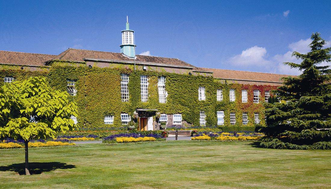 Undergraduate Scholarship at Writtle University College. UK, 2017-2018