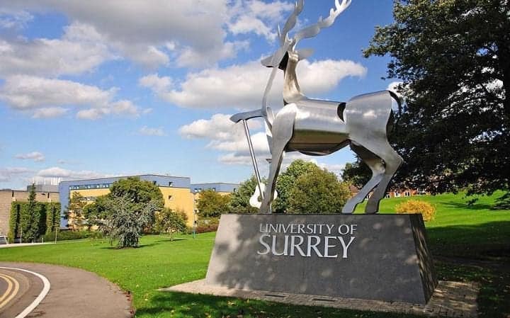 UK University of Surrey Scholarship for Engineering and Physical Sciences 2018