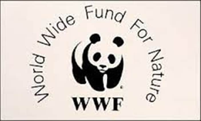 WWF Professional Development Grants in Switzerland, 2017
