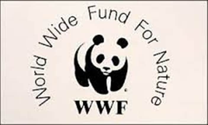  WWF Professional Development Grants in Switzerland, 2017 