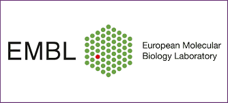 EMBL Postdoctoral Fellowship in Computational Biology, Germany 2017