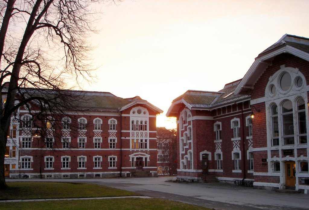 NMBU Scholarship within Robotic Grasping and Manipulation in Norway, 2018