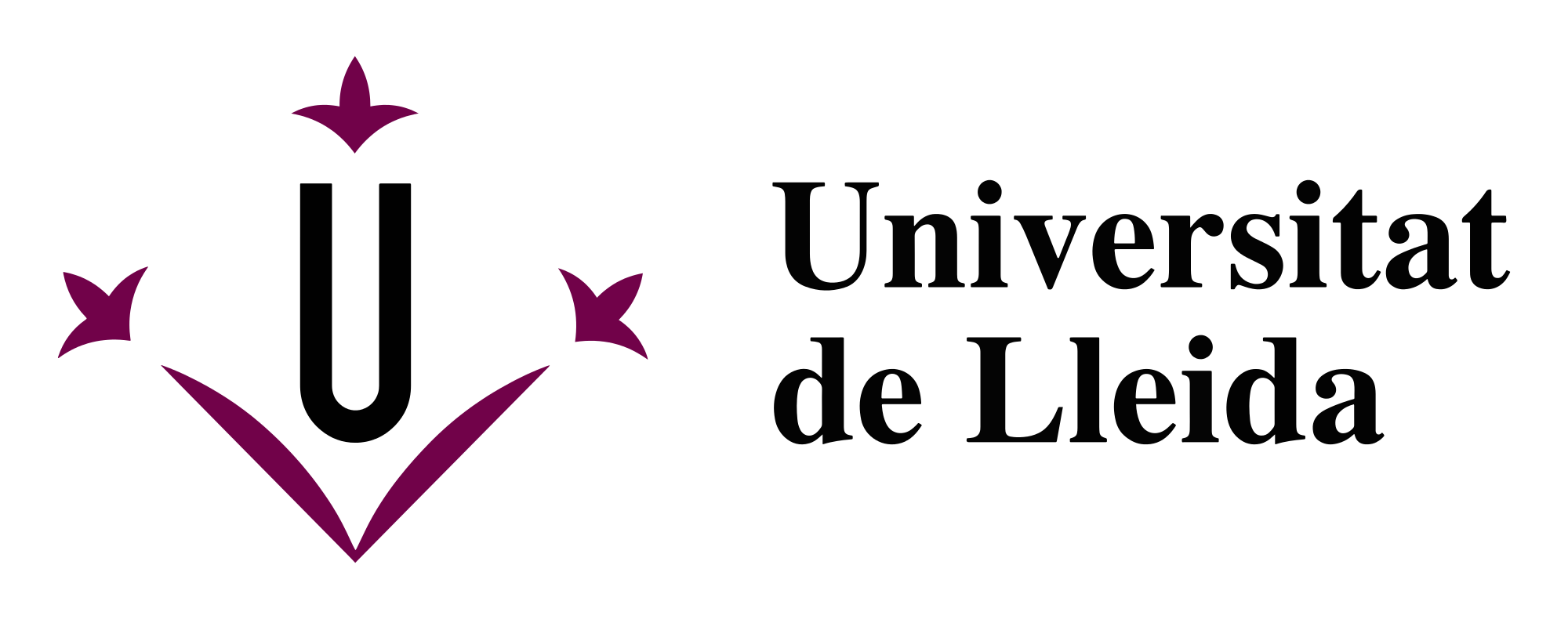 Spain University of Lleida Master Scholarships for Foreign Students 2018