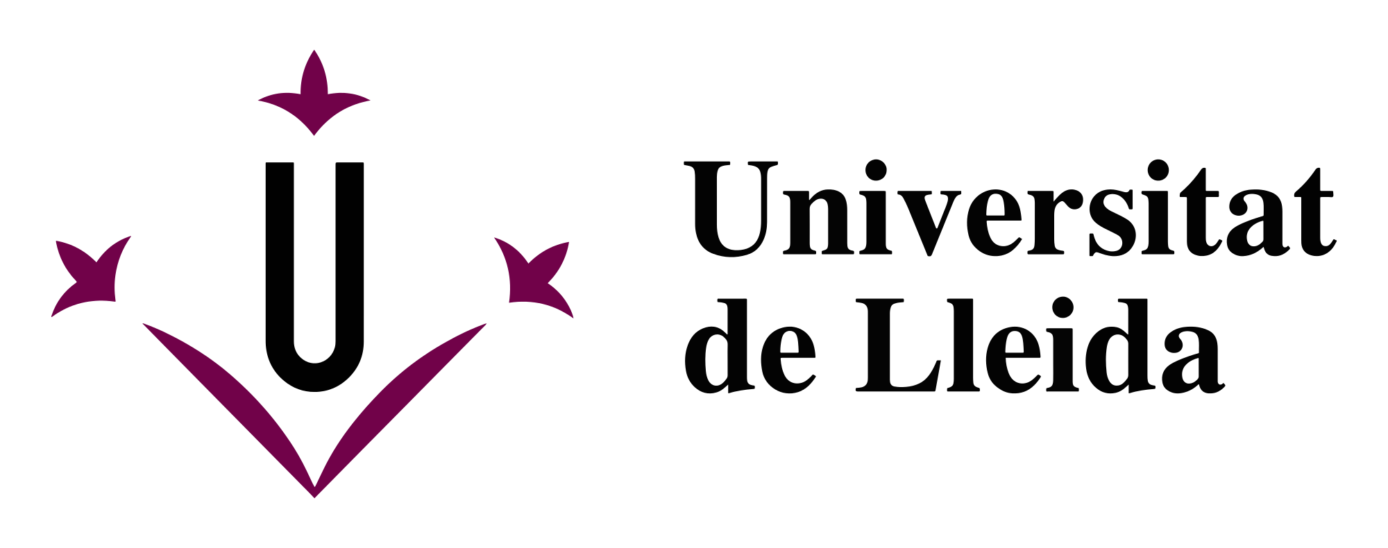  Spain University of Lleida Master Scholarships. 