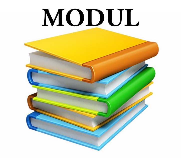 MODUL University Next Generation Scholarships.