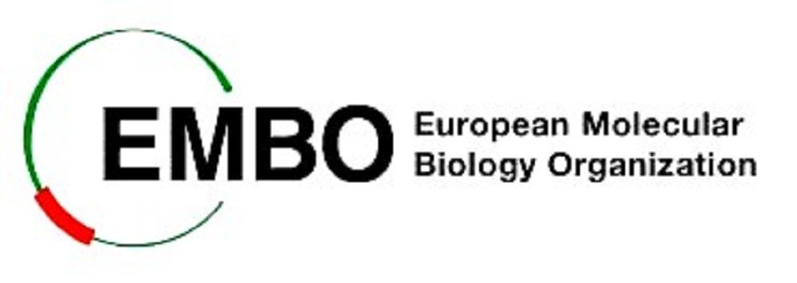  Germany EMBO Finance Officer – Administration and Finance/Fellowships 2018 