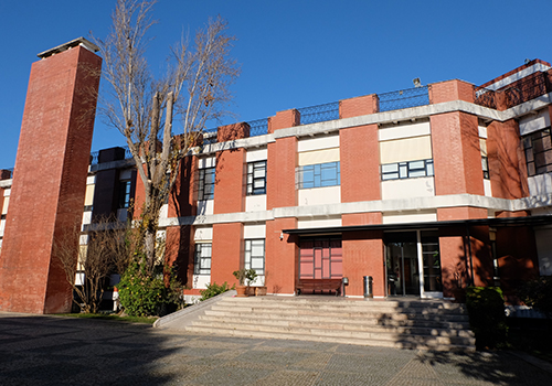 For Portuguese Citizens portugal IGC “NOS Alive- IGC Research Fellowship 2018