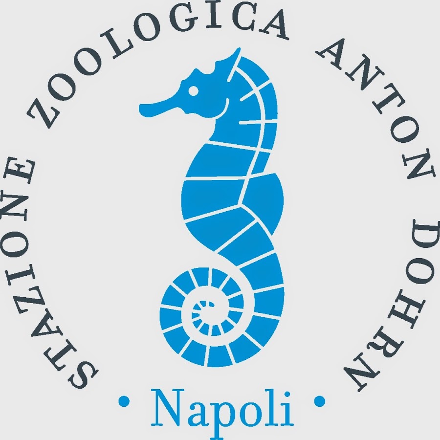 Italy Anton Dohrn International Zoological Station PhD Fellowship Program 2018