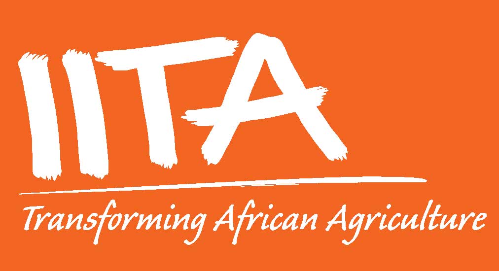  International Institute of Tropical Agriculture Research Fellowship on Youth Engagement in Agribusiness and Rural Economic Activities in Africa 