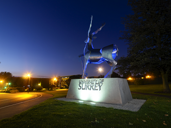  University of Surrey Full Surrey Award for UK/EU Students, UK, 2019 