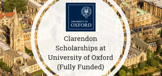  Clarendon Fund Scholarships. 