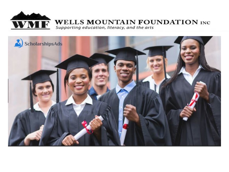  Wells Mountain Initiative Scholar Programm for developing countries 