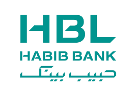 HBL Female Project Internship