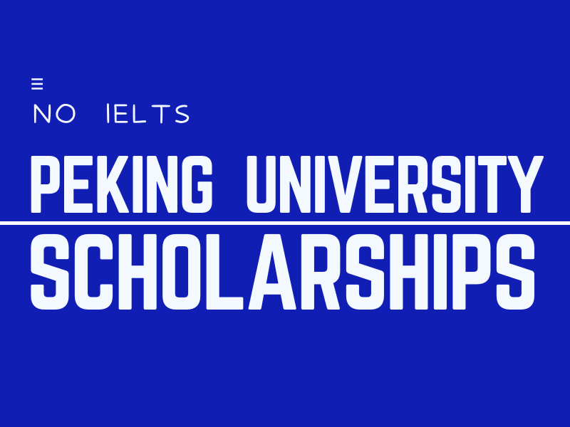  The Peking University (Overseas Students) Scholarships. 