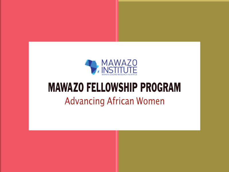  Mawazo Fellowship Program 2023 