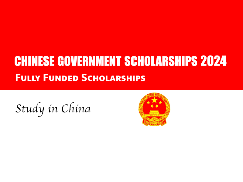  The Chinese Government Offers Scholarships. 