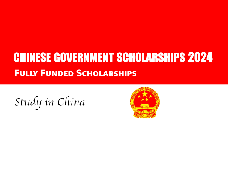 The Chinese Government Offers Scholarships.