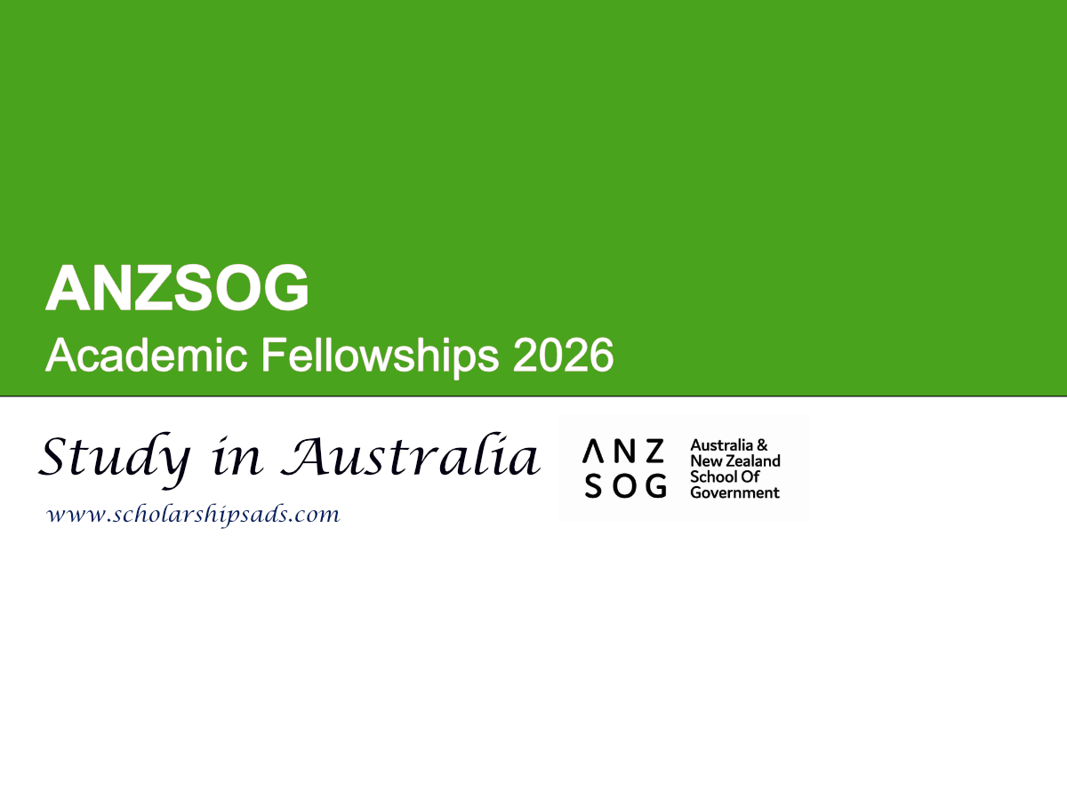 ANZSOG Australia Academic Fellowships 2026