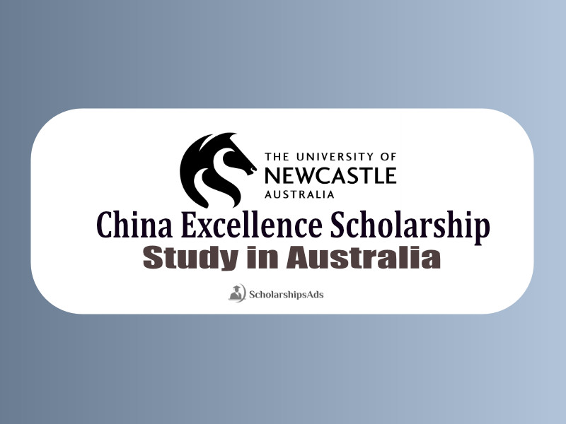 China Excellence Scholarships.