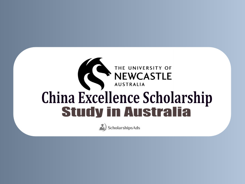  China Excellence Scholarships. 