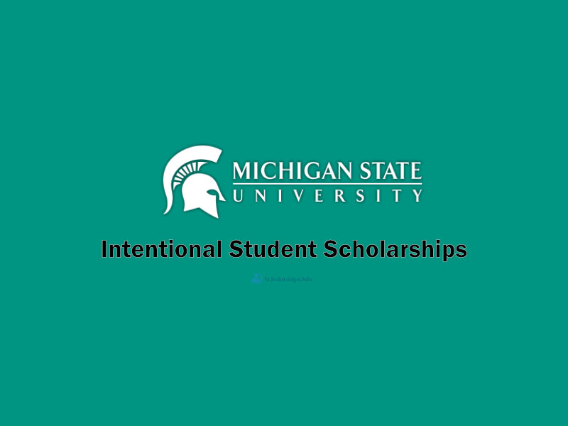 Michigan State University International Scholarships.