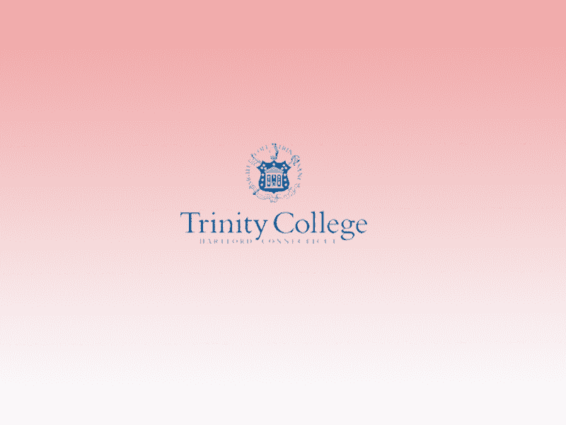 Better World undergraduate Scholarship at Trinity College Dublin, Ireland