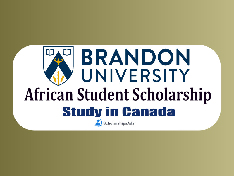 African Student Scholarships.