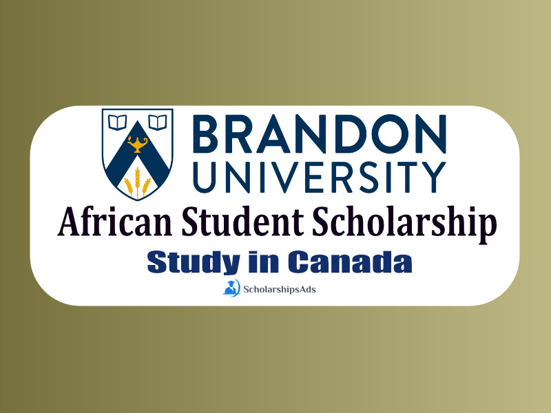  African Student Scholarships. 