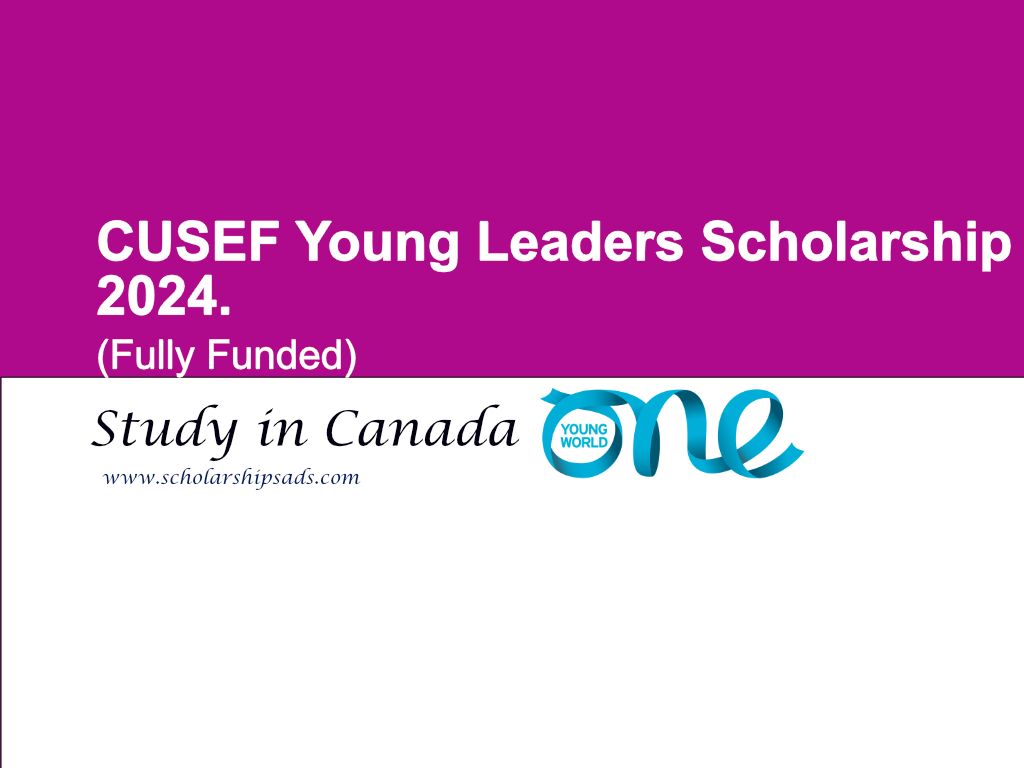  CUSEF Young Leaders Scholarships. 