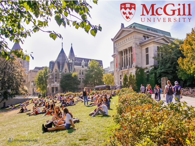 McCall MacBain Scholarships At McGill University Canada 2021
