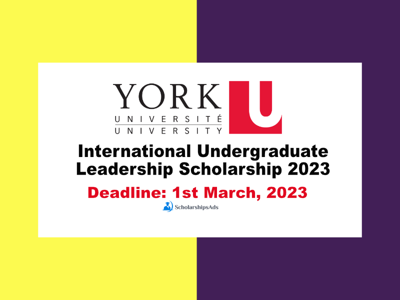 International Undergraduate Leadership Scholarship 2023