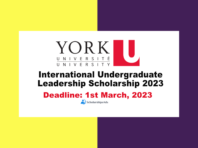  International Undergraduate Leadership Scholarships. 