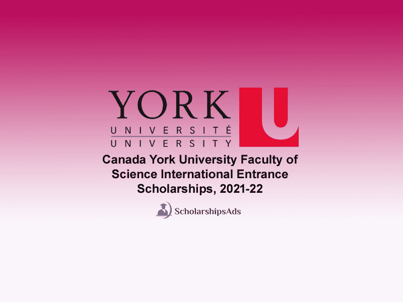  Canada York University Faculty of Science International Entrance Scholarships. 