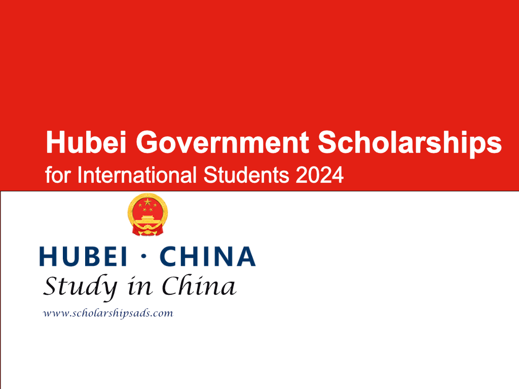 Hubei Government Scholarships.