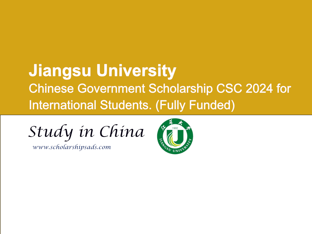 phd scholarships for china