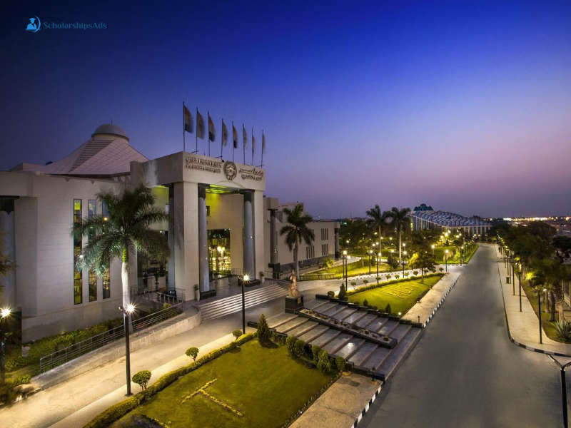 Misr University for Science and Technology, Egypt Scholarships announced