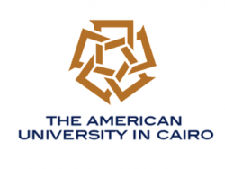 American University in Cairo - International Fellowship, Egypt 2020-21