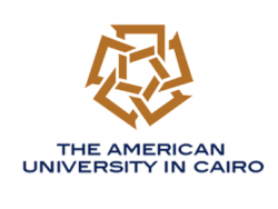  American University in Cairo - International Fellowship, Egypt 2020-21 