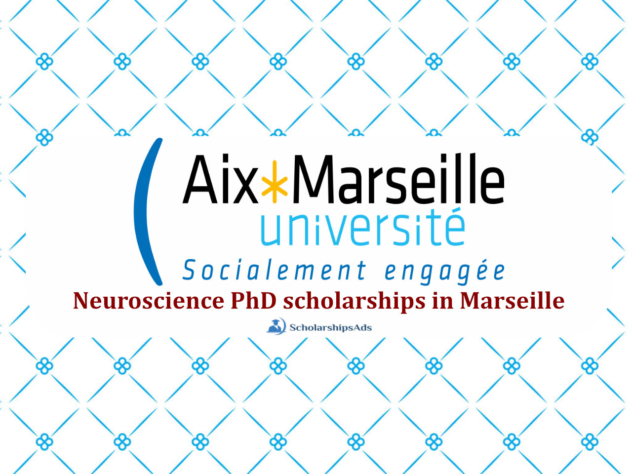 Neuroscience PhD Scholarships.