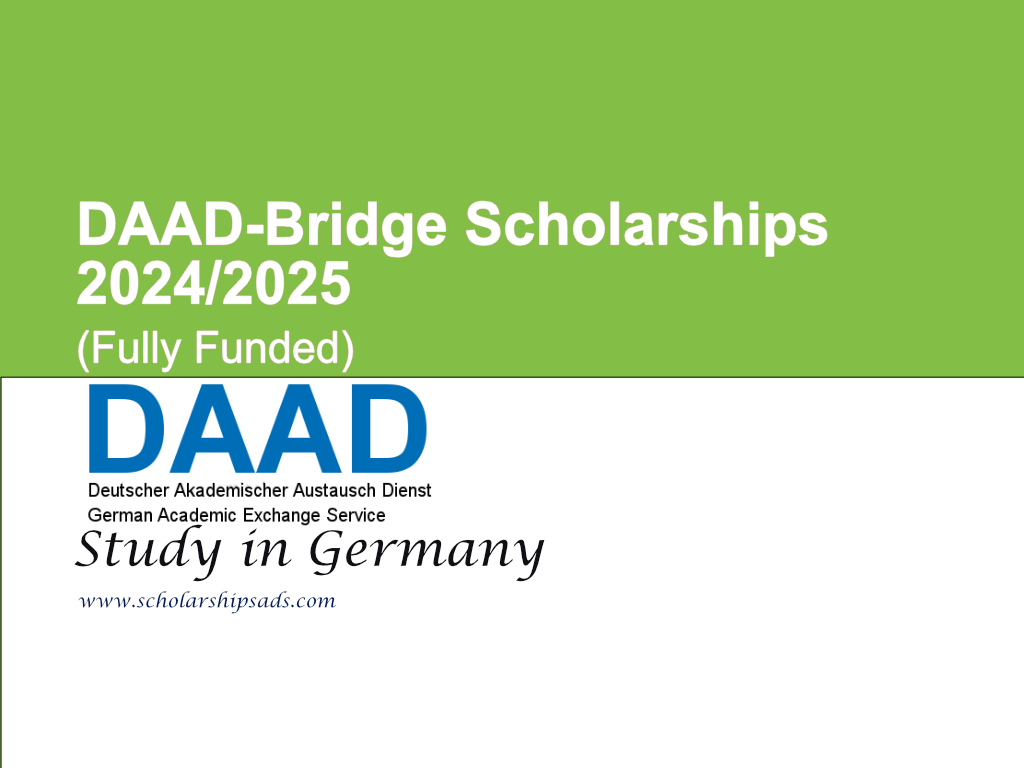 DAAD-Bridge Scholarships.