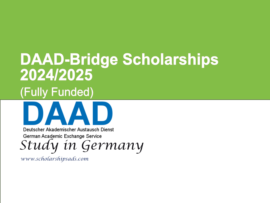 DAAD-Bridge Scholarships 2024/2025 in Germany (Fully Funded)